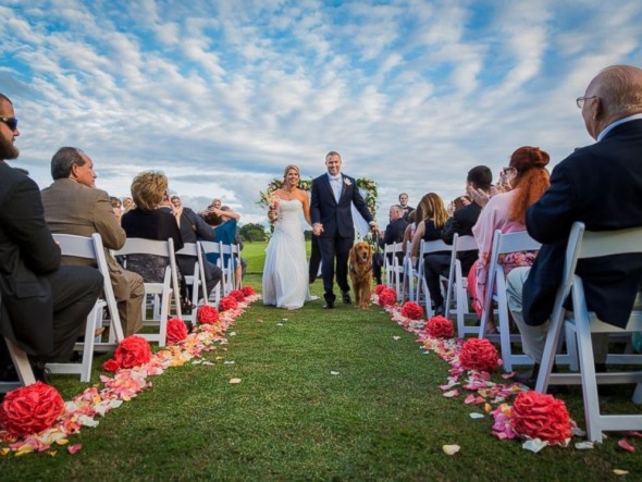 Service Dog Stands as Best Man in Owner’s Wedding Day