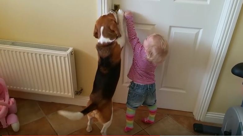 This Baby And Beagle Are The Most Adorable Partners In Crime
