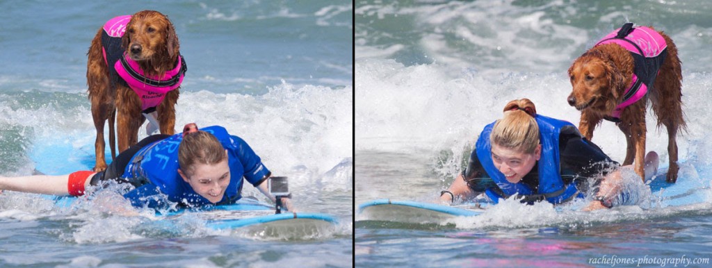 Surf Dog Ricochet Catches Waves With Two Terminally Ill Sisters
