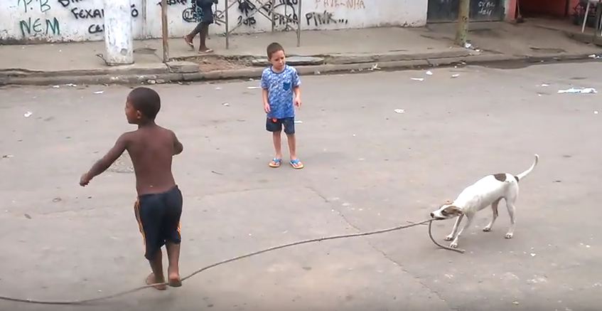 When This Dog Grabbed The Rope, The Kids Had No Idea This Would Happen