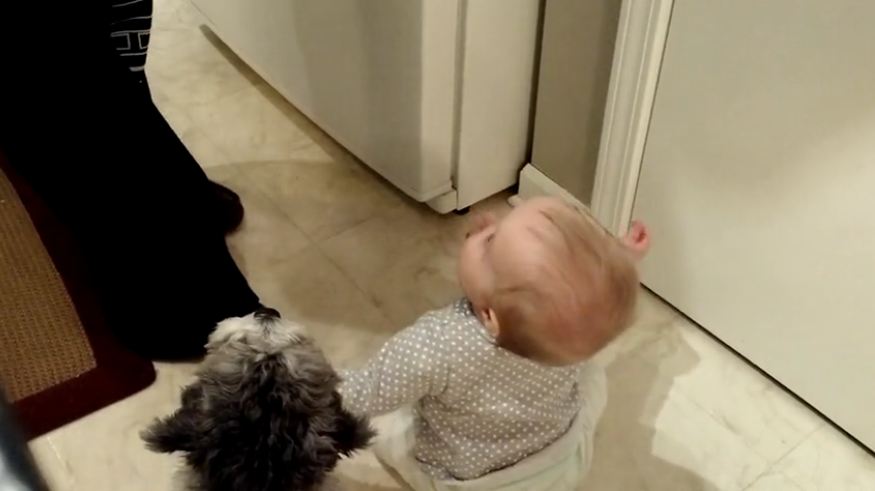 Baby and puppy receive snacks