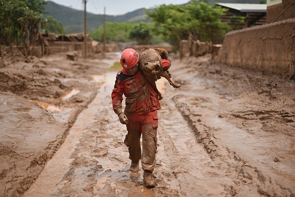 A fireman rescues in Paracatu de Baixo, Minas Gerais, Brazil on November 9, 2015 a dog that was trapped in the mud that swept through the Village of Bento Rodrigues on Thursday killing at least one person and leaving other 26 missing. The tragedy occurred Thursday when waste reservoirs at the partly Australian-owned Samarco iron ore mine burst open, unleashing a sea of muck that flattened the nearby village of Bento Rodrigues. AFP PHOTO / Douglas MAGNO (Photo credit should read Douglas Magno/AFP/Getty Images)