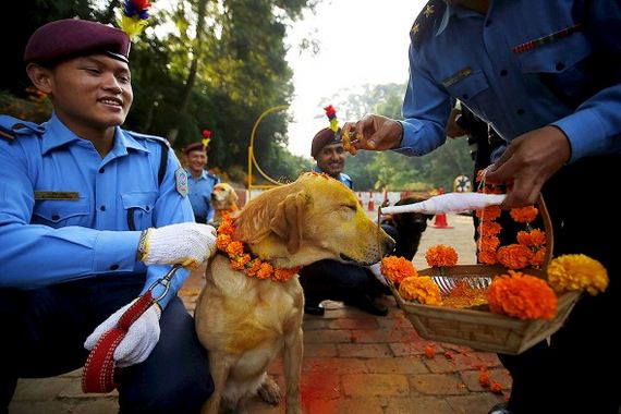 Dogs Are Celebrated in Nepal’s Kukur Tahir Festival