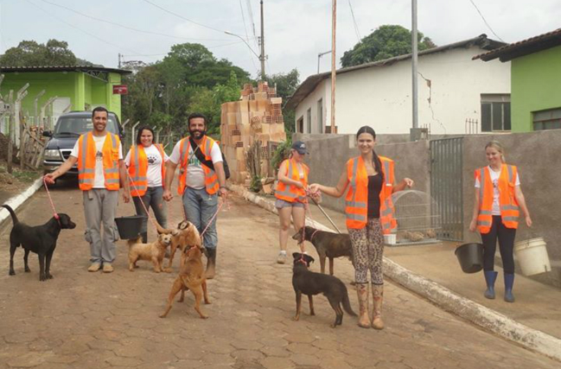 What These Rescuers Did For These Dogs, Unbelievably Heartwarming