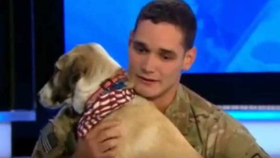 These Soldiers Found 8 Dogs In Afghanistan. Now Watch What They Do To Bring Their Dogs HOME!