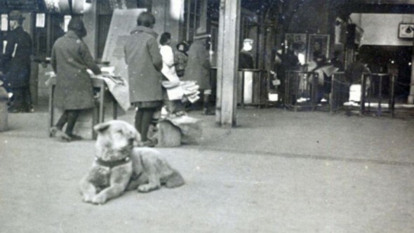 81-Year-Old Rare Photo of the Famous Hachiko Found