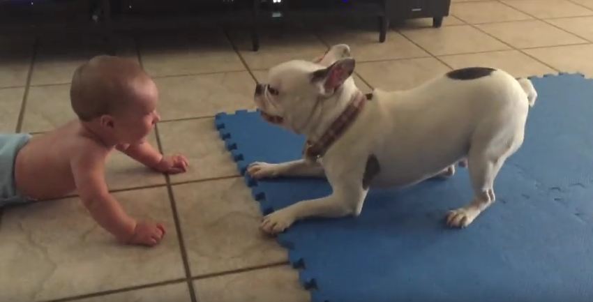 Their Dog Is This Kid’s Favorite Babysitter…And You’ll Definitely Understand Why