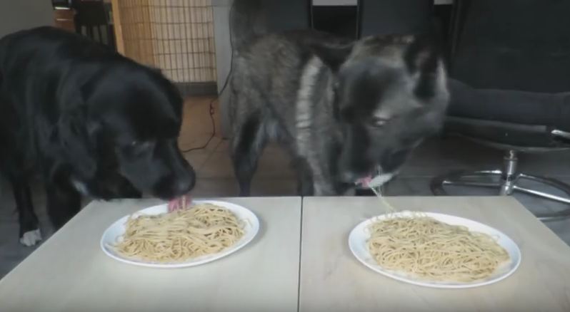 Spaghetti Eating Competition