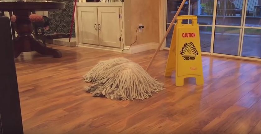 This Might Look Like An Ordinary Mop…But Wait Until There’s A Knock At The Door