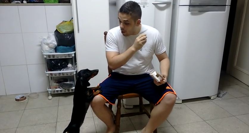 This Dog Dad Has A Brilliant Way Of Making His Dog Take Her Medicine!!