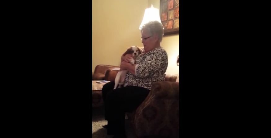 Grandma’s priceless reaction to Christmas puppy