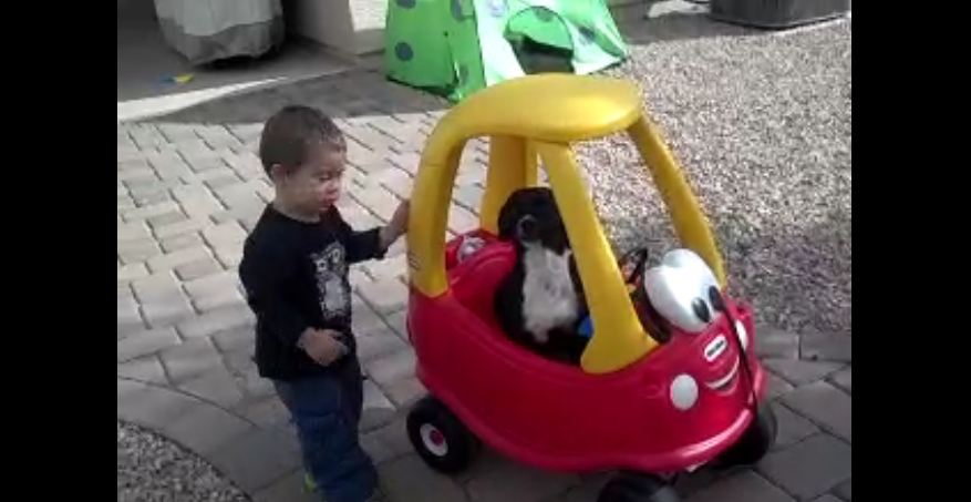 Baby gives his dog a ride