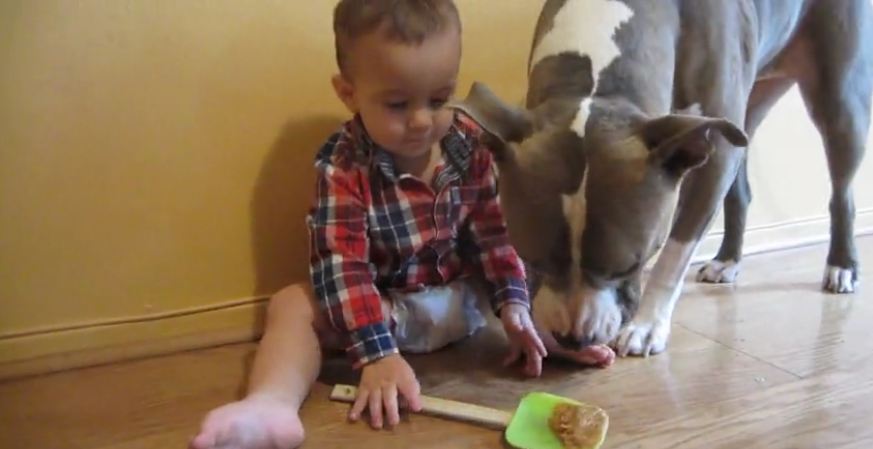 Baby gives dog peanut butter