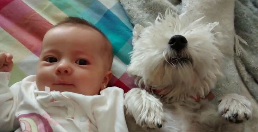 Puppy licks newborn baby