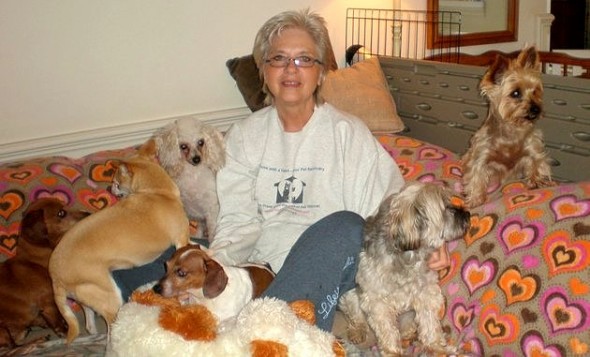 Woman Opens Retirement Home for Senior Dogs