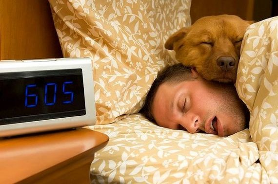 14 Pros and Cons to Letting Your Dogs Sleep in Bed with You