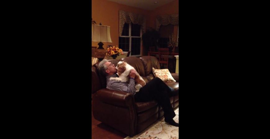 Excited dog loves to welcome owner home