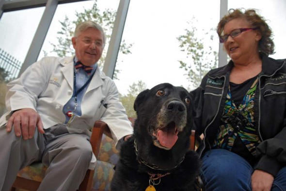 Search and Rescue Dog Finds Cancer Hidden in Human’s Lungs