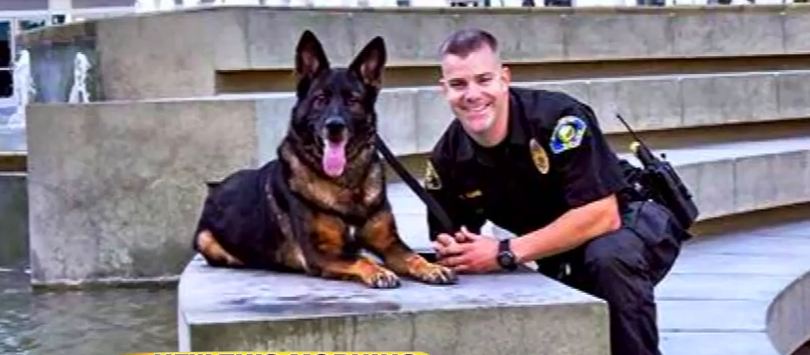 A Police Dog Shot In The Line of Duty Reunites With His Human Partner