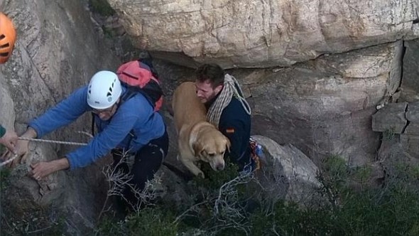 Dog and Owner Go on Christmas Walk and Need Emergency Rescue