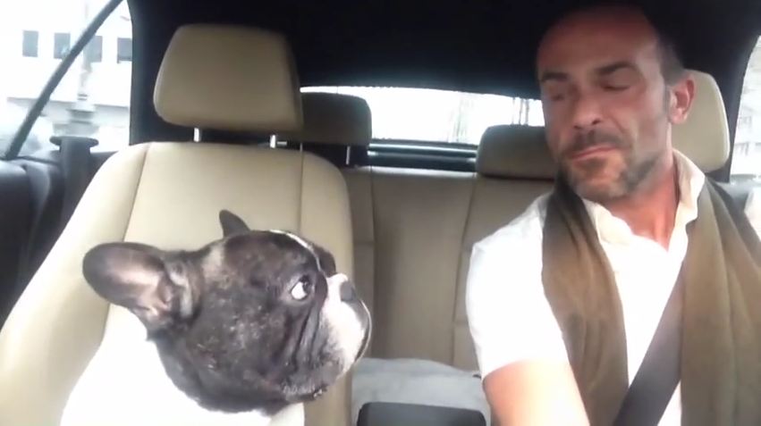 Listen To This Dog Sing His Own Cover Of A Radio Hit By Rihanna