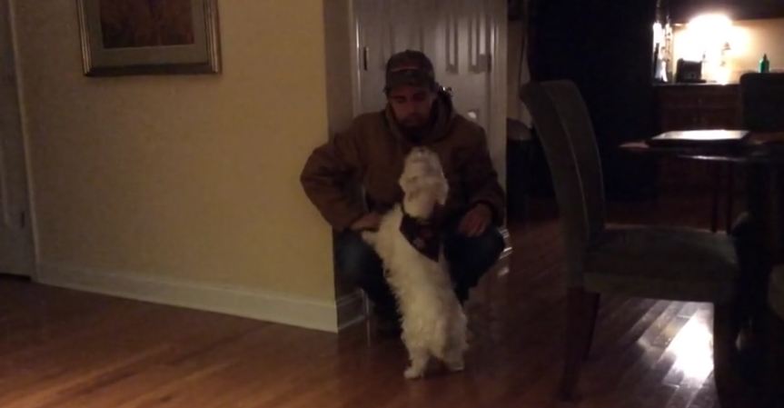 Dog hates it when man puts on his hat