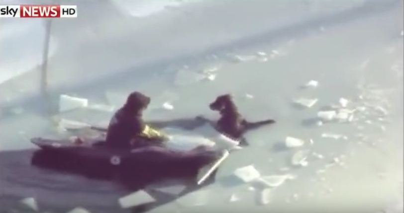 A Dog’s Owner Went To Save Her From Freezing Water…Then The Unthinkable Happened