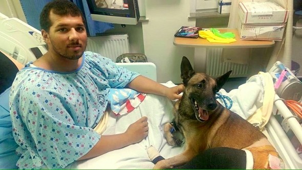 Injured Soldier & Dog Recover in a Hospital Room Together