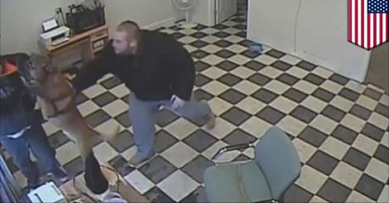 Pit Bull Saves His Owner From A Robber!