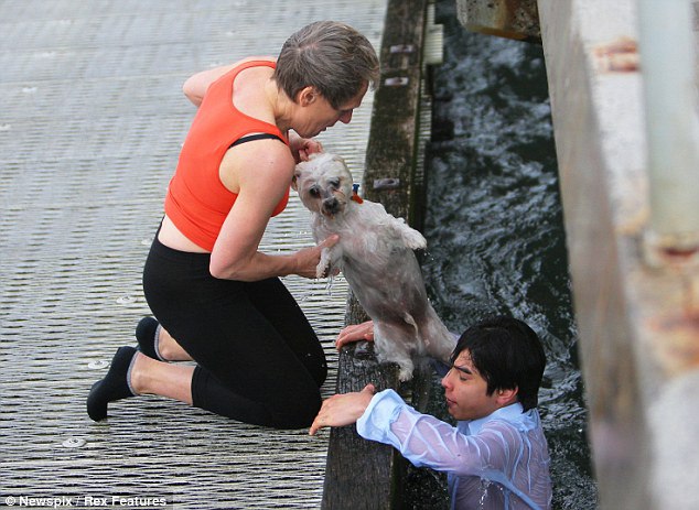 The Dramatic Rescue of Bibi the Dog