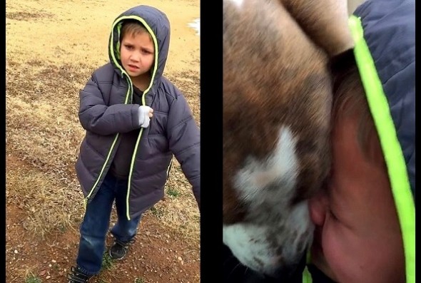 Little Boy Has the Most Tear-Jerking Reunion with His Missing Dog