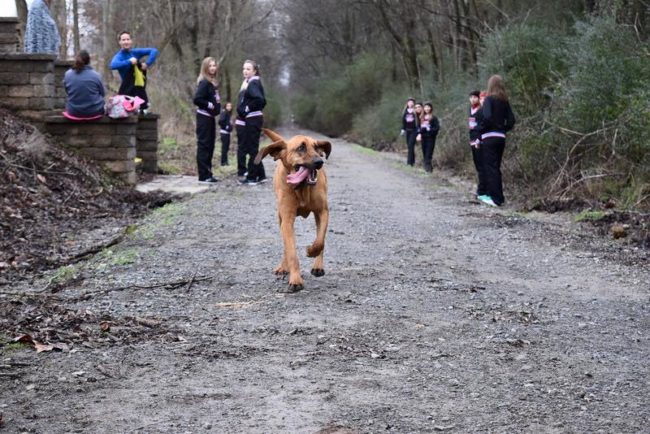 They Let Their Dog Out To Do Its Business, But What It Did Instead Is Hilarious