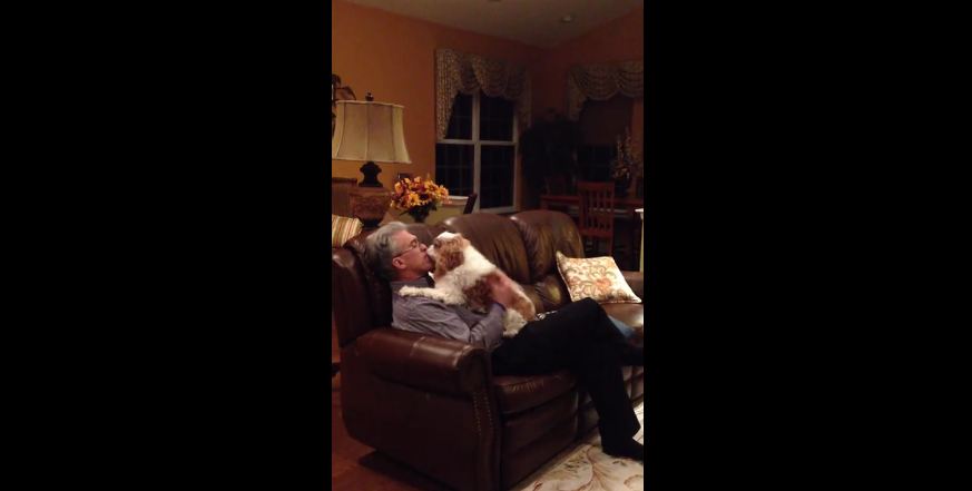 Excited dog loves to welcome owner home