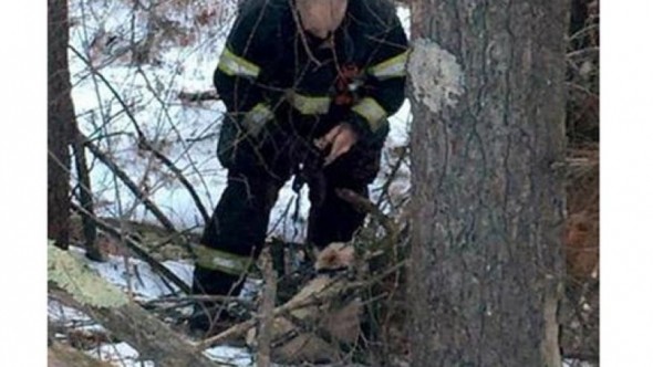 Dog Leads Rescuers to His Injured and Trapped Dog Sister