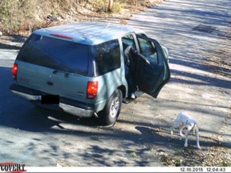 Officer Sees Footage Of Man Dumping Dog, 30 Minutes Later Something Wonderful Happens