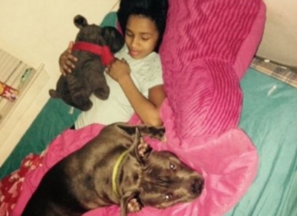 Judge Delays Decision in Ruling on Little Girl’s Service Dog