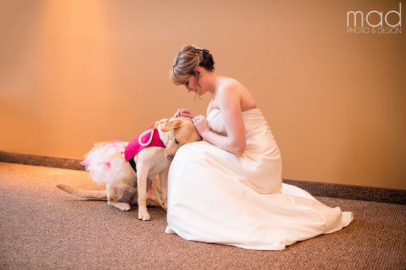 Photo of Therapy Dog Calming Bride Before Wedding Goes Viral