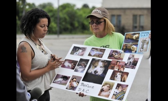 Woman Says Detroit Animal Control Neglected her Dog