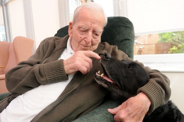 Senior Home Oldest Four-Legged Resident Dies