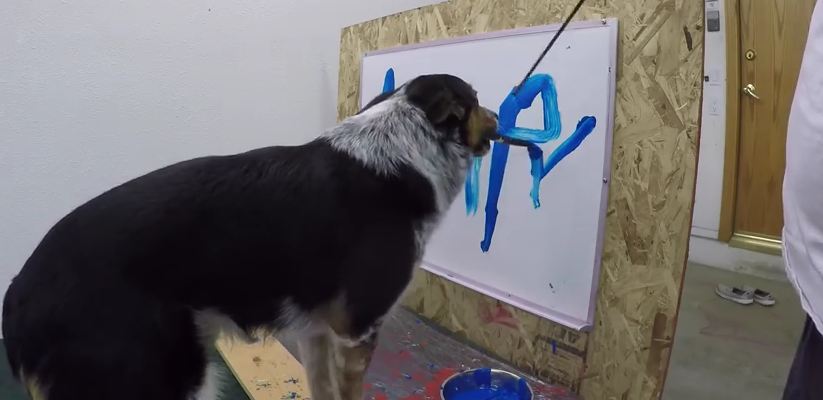 Dog Knows How to Spell His Name – Sort Of