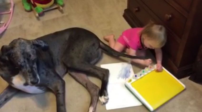 Dog Helps Little Girl Find Out What Tails Are Really For
