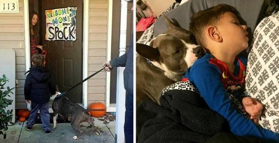 From Starving & Surviving on Trash to Treasured Family Member