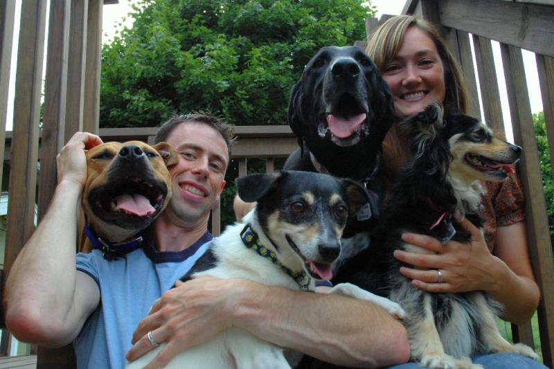 Dog Set For Euthanasia Becomes International Celeb Instead