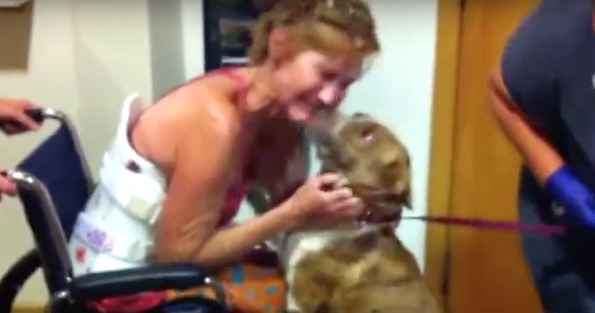 This Dog Avoided Human Contact For Over 2 Months… And Then This Happened.