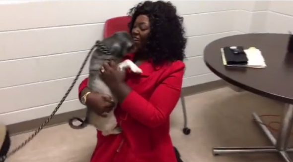 Woman Travels from Texas to Maryland to Reunited With Lost Pet