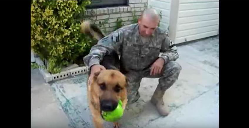 This dog runs to catch the ball, when he comes back? OMG