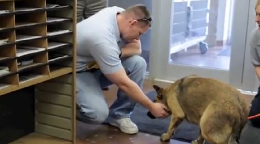 Watch A Man’s Emotional Reunion With His Dog Lost For Seven Months