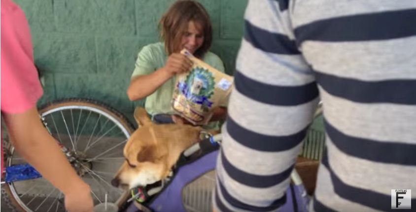 A Boy And His Mom Buy Food And Toys For A Homeless Woman’s Dog