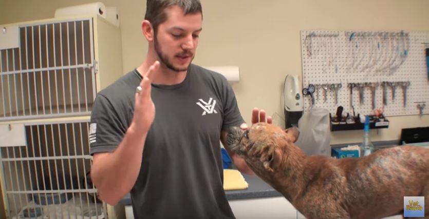 Vet Ranch Rescues A Blind Puppy From Death Row And Helps Him See Again