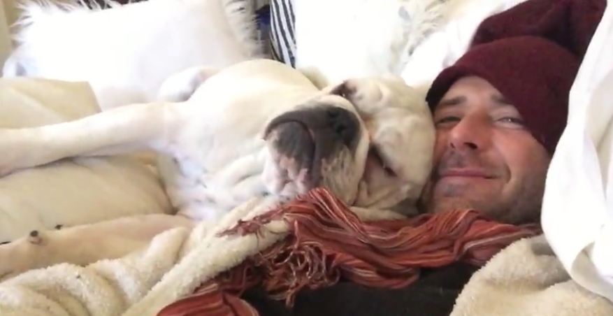 Snoring English Bulldog absolutely refuses to wake up